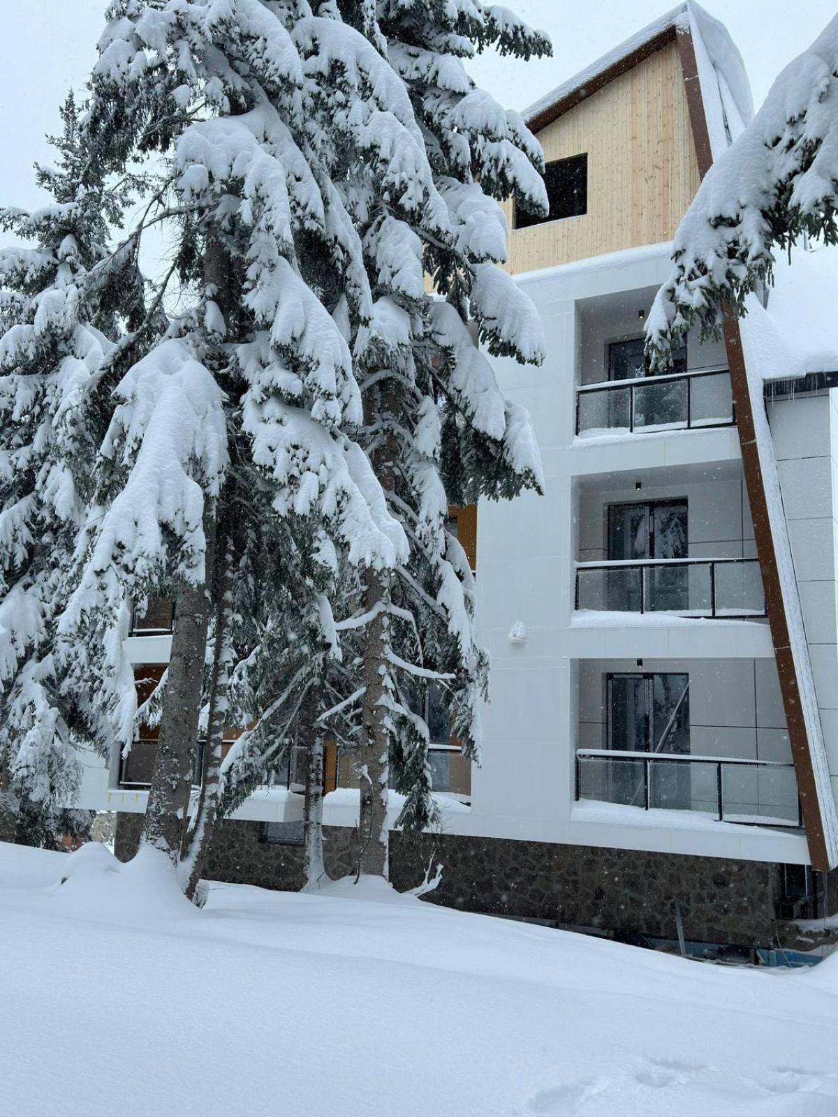Forest Villa Goderdzi Exterior foto